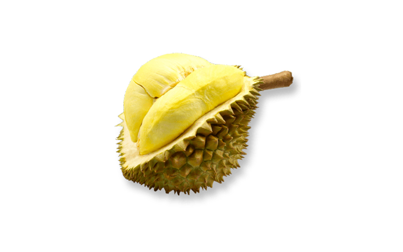 Thailand Durian Supplier