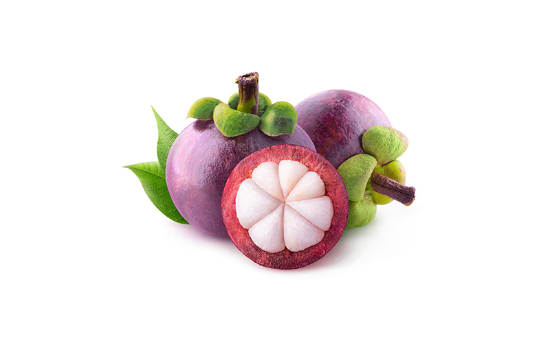 Thailand Mangosteen Supplier